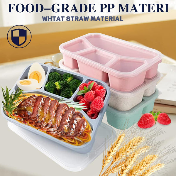 8 Pack Bento Box, Lunch Containers Wheat Straw Meal Prep Containers Reusable Shell Star Creations